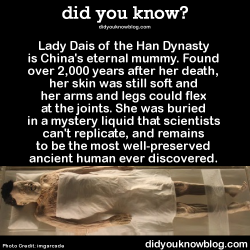 did-you-kno:  Lady Dais of the Han Dynasty is China’s eternal mummy. Found over 2,000 years after her death, her skin was still soft and her arms and legs could flex at the joints. She was buried in a mystery liquid that scientists can’t replicate,