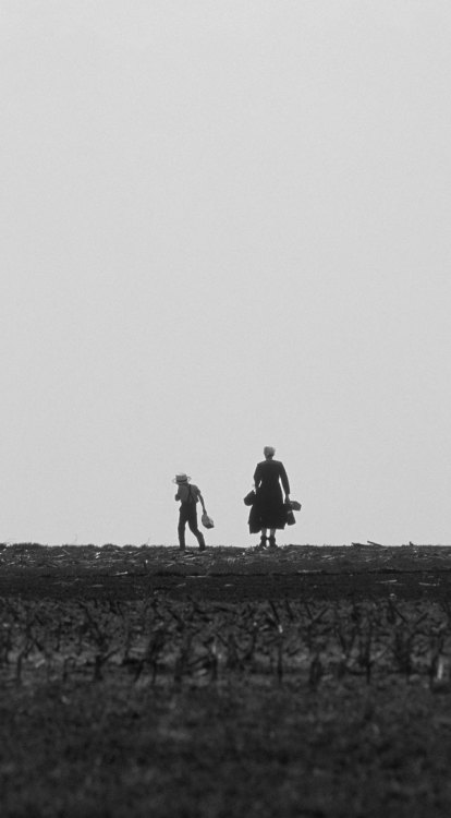 Robert WeingartenSelections from the Amish Series