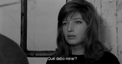 miss-catastrofes-naturales:Il deserto rosso - Michelangelo Antonioni (1964)