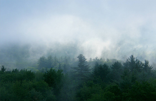 Morning Mist in the White Mountains by Stanley Zimny on Flickr.