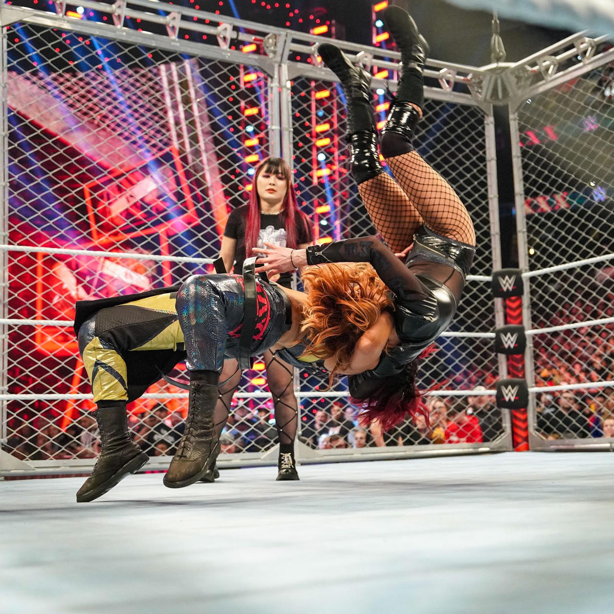 🎄Women of WWE🎄 — Becky Lynch and Bayley's Steel Cage Match never