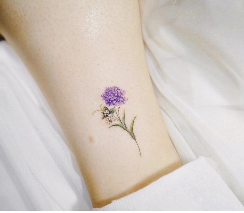 What Does Hydrangea Tattoo Mean  Represent Symbolism