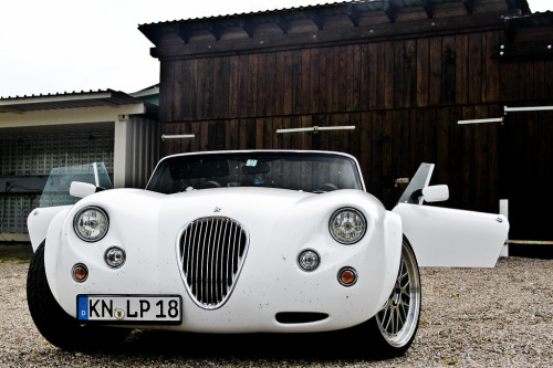 itcars:  Weismann MF3 Roadster  Image by Jan König 