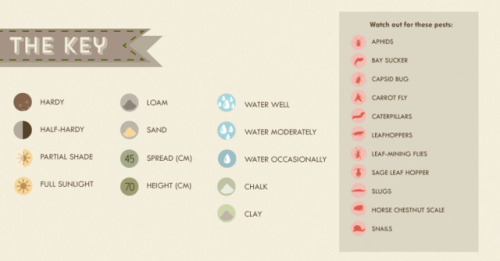 The Herb Grower’s Cheat Sheet*Growing seasons and planting information below are UK specific*H