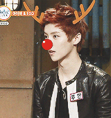 oh-luhans:  luhan in beatles code 