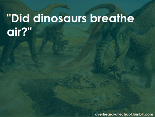dinosaurhorrorshow:  Omg this hurts….   Are people actually this stupid?