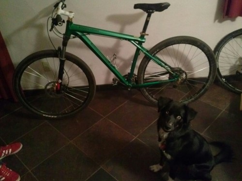 tynanosaurus:  First trail ride tomorrow.  Super excited