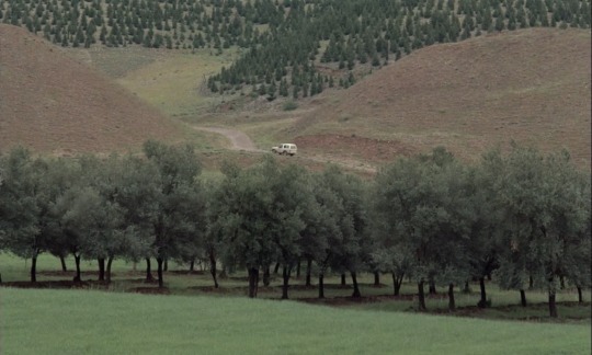 laplanetesauvage1:Through the Olive Trees (1994) dir. Abbas Kiarostami