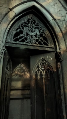 ambermaitrejean: Cimetière de Montmartre. Photo by Amber Maitrejean 