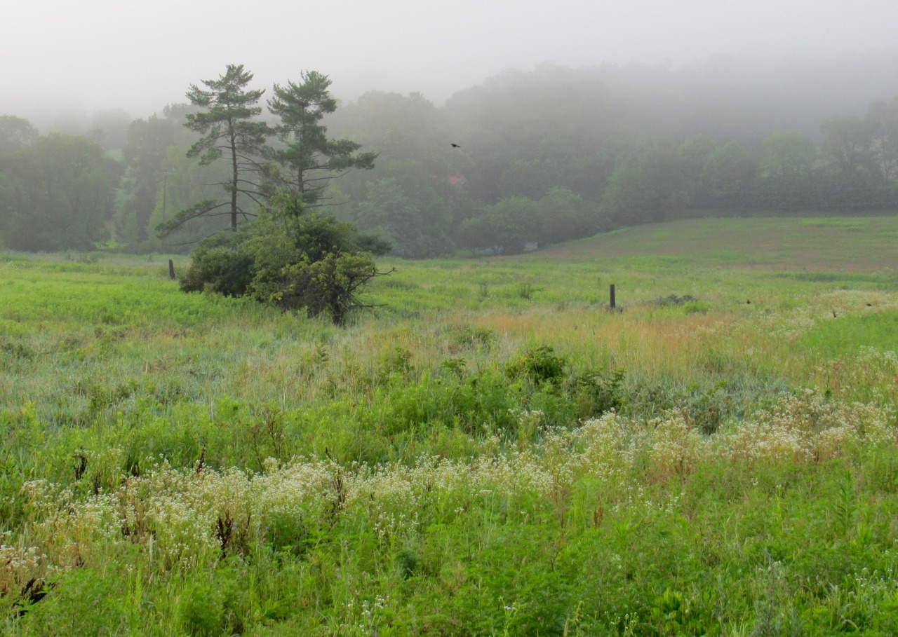 geopsych:  A dreamy day in July, 2015. 