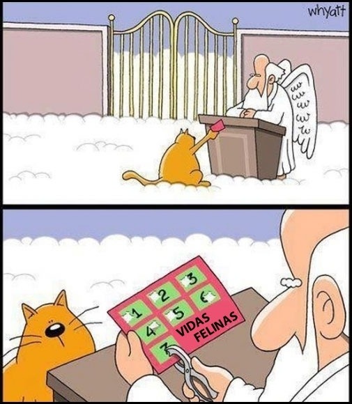 ohgatita:  rbksaez:  Lo siento gatito, aquí acaba tu aventura http://bit.ly/113eEU6
