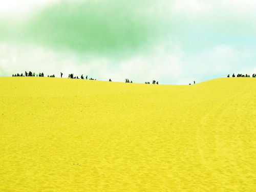 Arcachon dunes