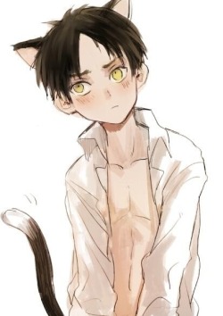 ereri-is-life:  mln