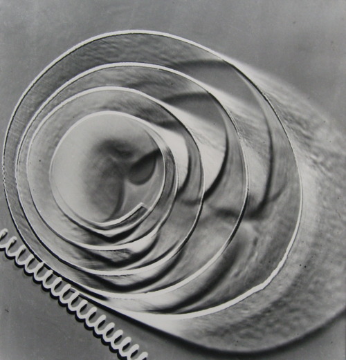 vivipiuomeno1:  Luigi Veronesi (Milano 1908-1998) Fotogramma No. 33, 1937