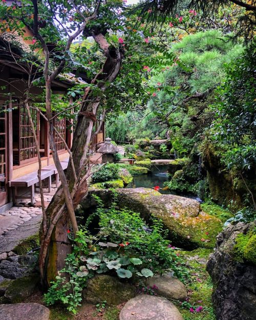 高台寺 洛匠庭園 [ 京都市東山区 ] Kodai-ji Rakusho Garden, Kyoto 4月の緊急事態宣言以後休業し、解除後も再開されることなく閉店が決まってしまった洛正さん。 今も格子