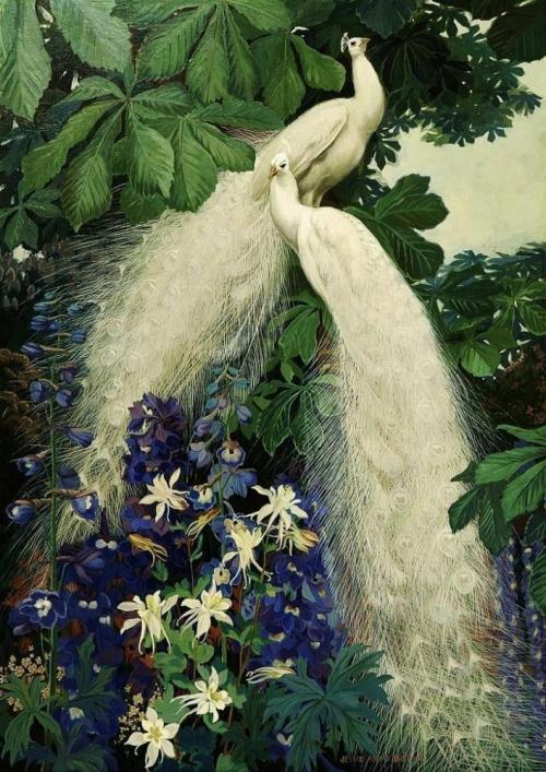 aurosanlo: JESSIE ARMS BOTKE  (1883-1971) Peacocks and Delphiniums
