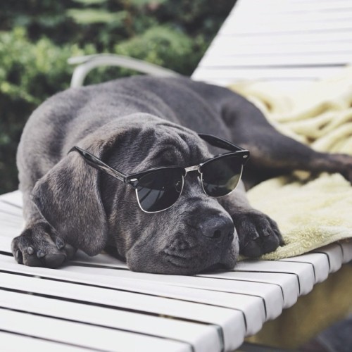 a-body-blog:  omg gimme