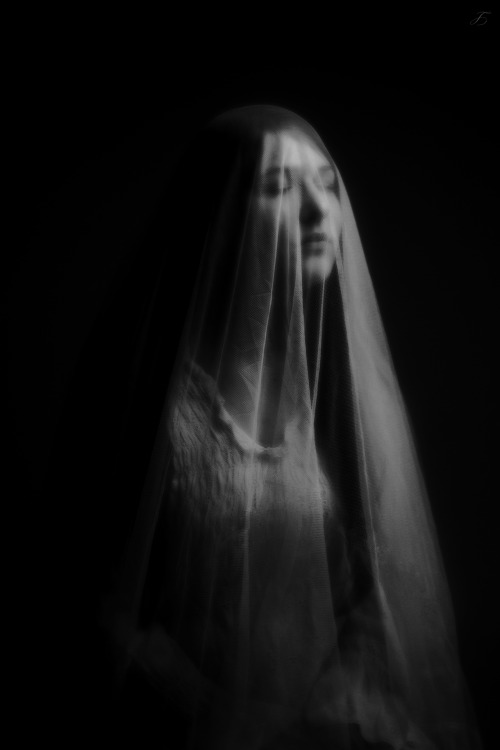 Porcelain to Ivory to Steel