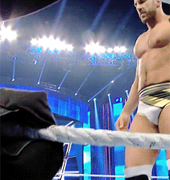 brassringclub: a list of things I never knew I wanted: cesaro as intercontinental