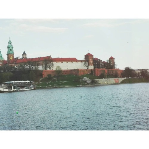 #Wawel #wisła #zamek #castle #Krakow #spring #Poland #goodday #happy #wiosna #Cracow #widok #photoof