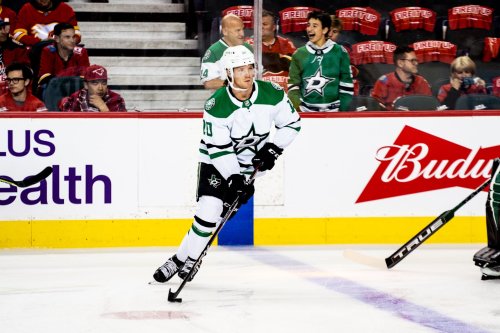 kitnita: dallasstars: Head in the game, heart on the finish line.