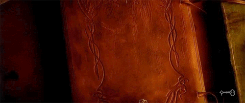 areyousuretonightsadangernight:I am old now, Frodo. I’m not the same hobbit I once was.Gorgeous.