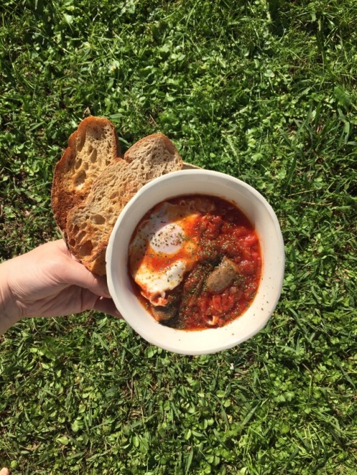 shakshuka