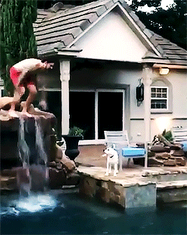 Tyler + Dogs