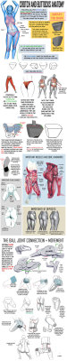 art-resource:  Crotch and Buttocks Anatomy