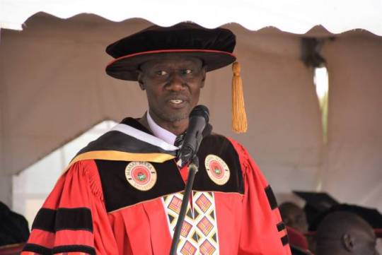 Vice-Chancellor Demoted Over Questionable Degree
