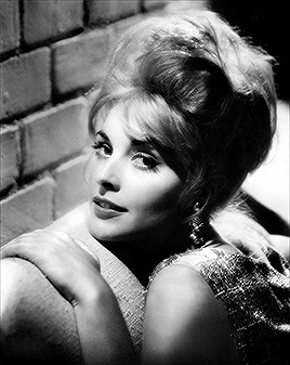 Sharon Tate in promotional photos for MGM Studios, 1963. Photos by John Engstead