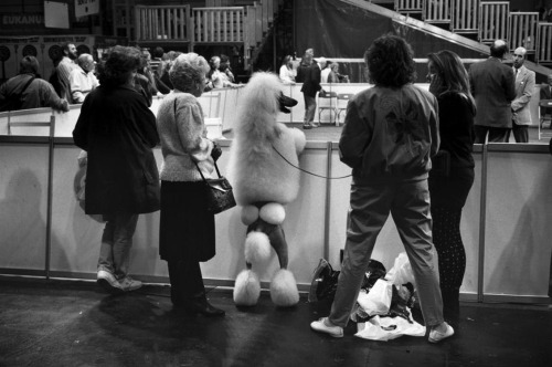 Elliott Erwitt - Birmingham, Angleterre, 1991.