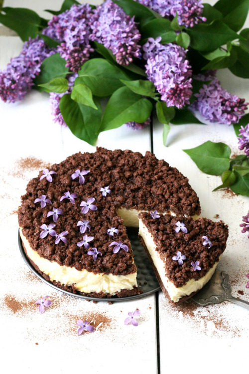 delectabledelight: Cheesecake with chocolate crumbs (by schikinak)