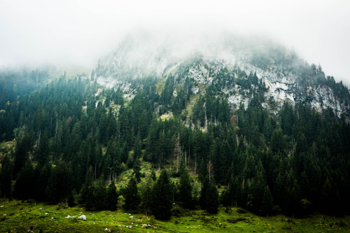 thealienemily:   	Safe in the steep cliffs by Éole Wind    	Via Flickr: 	Fog overwhelms La Clusaz, Haute-Savoie, France. This reminds me of one of my favourite albums: “Safe in the steep cliffs” from Emancipator.   