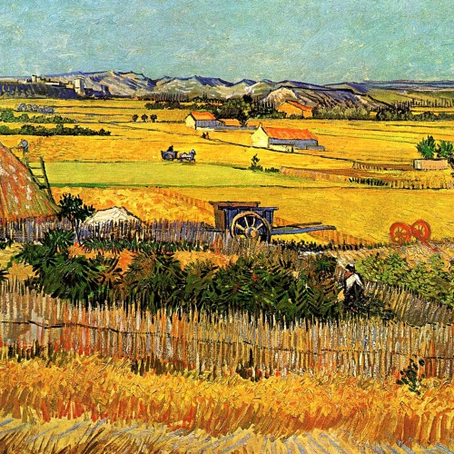 goldfern:how lovely yellow is. it stands for the sun. (vincent van gogh)