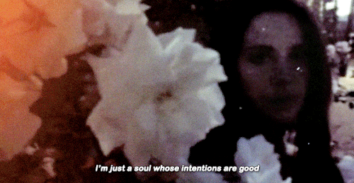 psychopierce:lana del rey // don’t let me be misunderstood