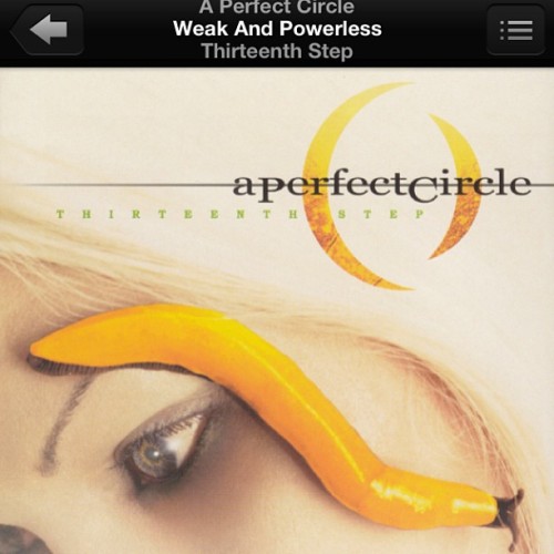 #Stressrelief. I’m so weak and powerless over you.. #aperfectcircle #thirteenthstep #weakandpowerless #maynard #goodshit #takesmeback