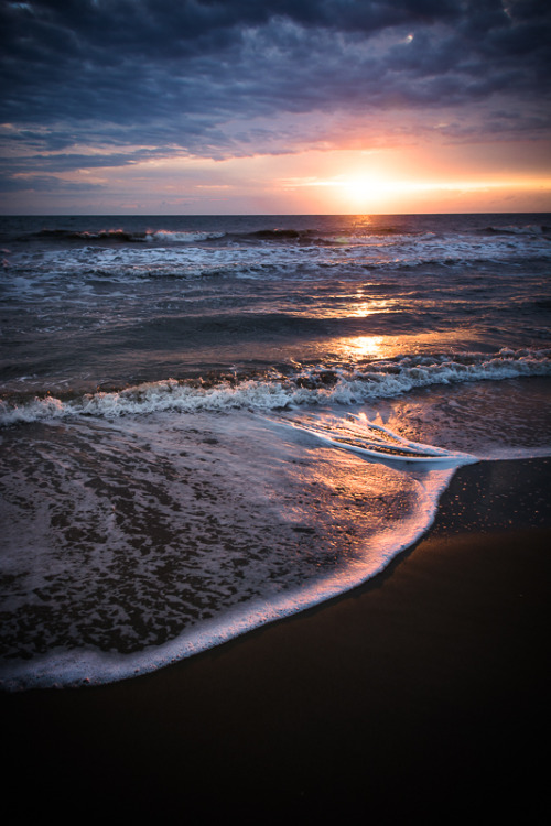 lensblr-network:  good morning sunshine by Craig Mcclure  (cityphotog.tumblr.com)