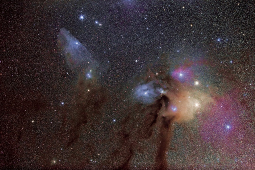 scarred-lotus:just–space:Rho Ophiuchi Cloud Complex, by Larry Sessions js