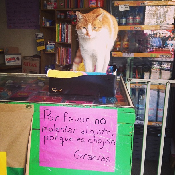 Vaaaaaaaalparaíso ♥ 
