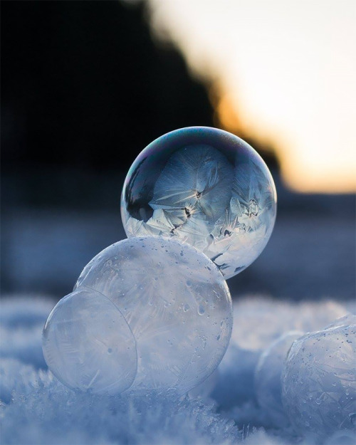 actegratuit:  Frozen Bubbles! Washington-based photographer Angela Kelly captured these breathtaking images of soap bubbles freezing at 15,8°F (-9°C) for her “Life in a bubble” series. 