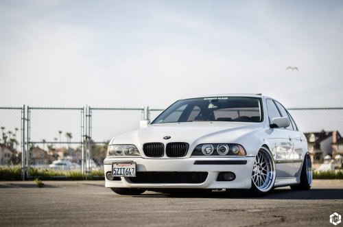 sickest-whips