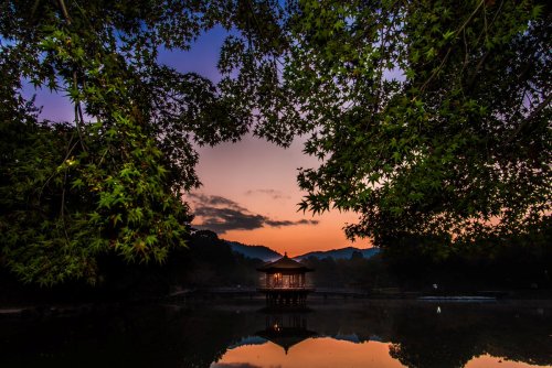 Ukimido floating pavillon and deer in Nara Park, amazing shots by I love this photographer use of li