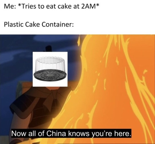 dankmemeuniversity:  