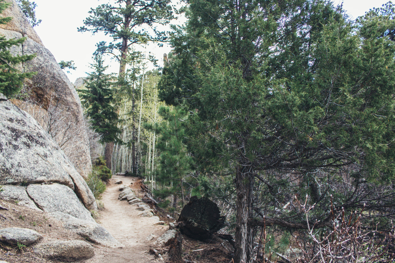 misskim:  The hike up to Gem Lake, Rocky Mountain National Park