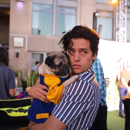 betty-and-jughead: Yes, they should certainly have Pugs on Riverdale. But Jughead already has Hotdog