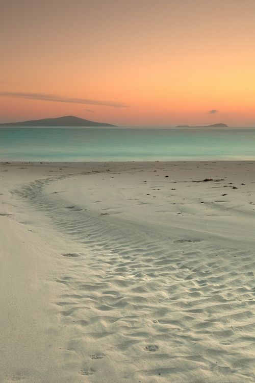 wasbella102:  Oh take me there now! 
