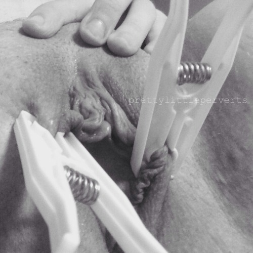 prettylittleperverts:  Desperate little cunts will do anything to be able to cum no matter how stupid it makes them look🌸