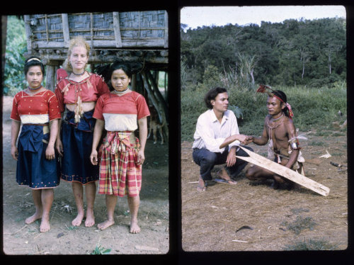 npr: In 1967, anthropologists Renato Rosaldo and his wife Shelly went to live with the llongot, an i