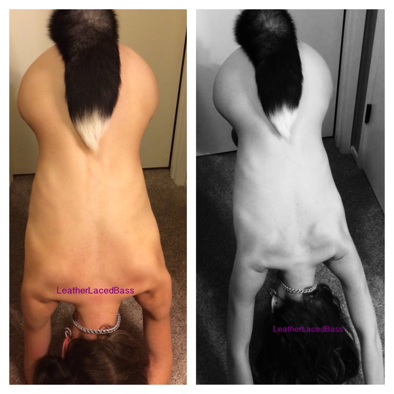 leatherlacedbass:  Good pets bow to Master.